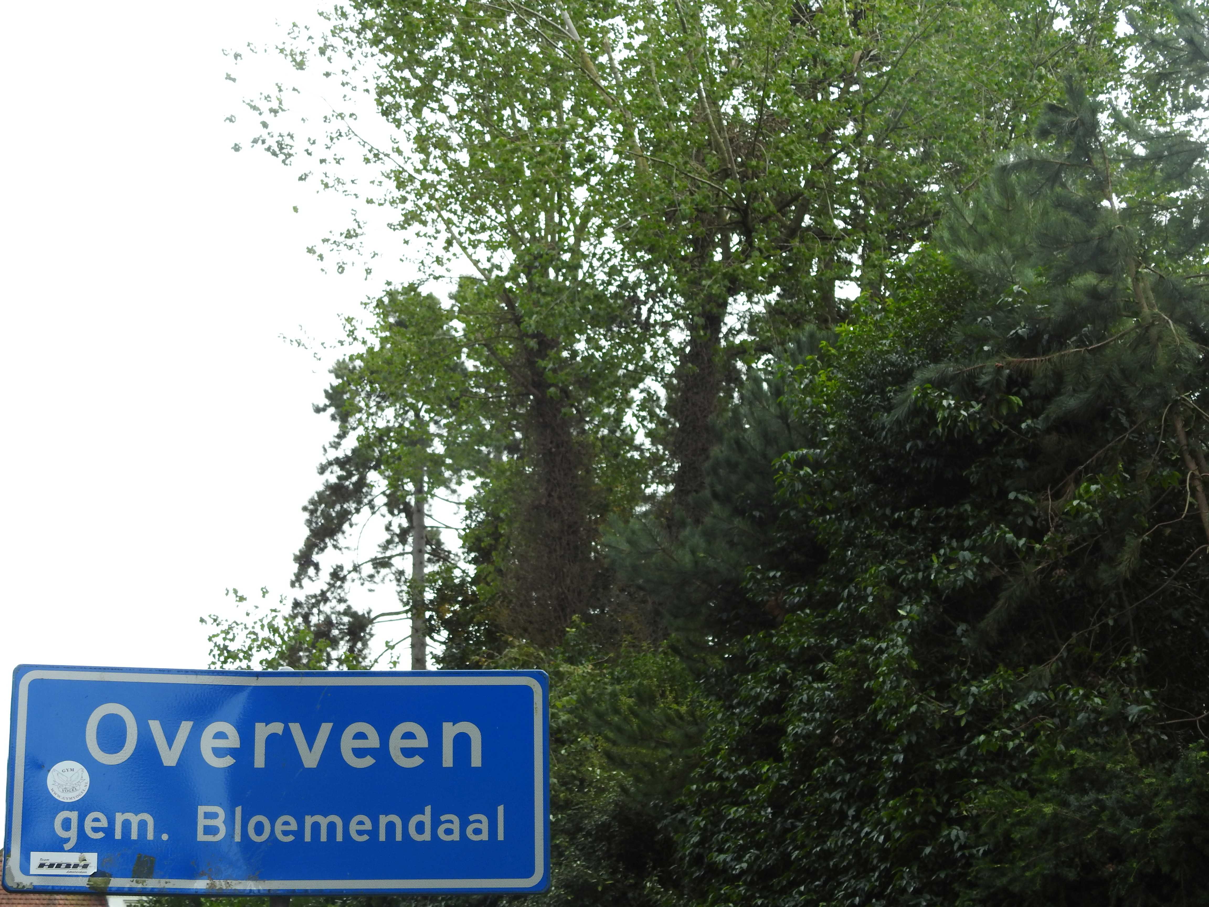 Overveen