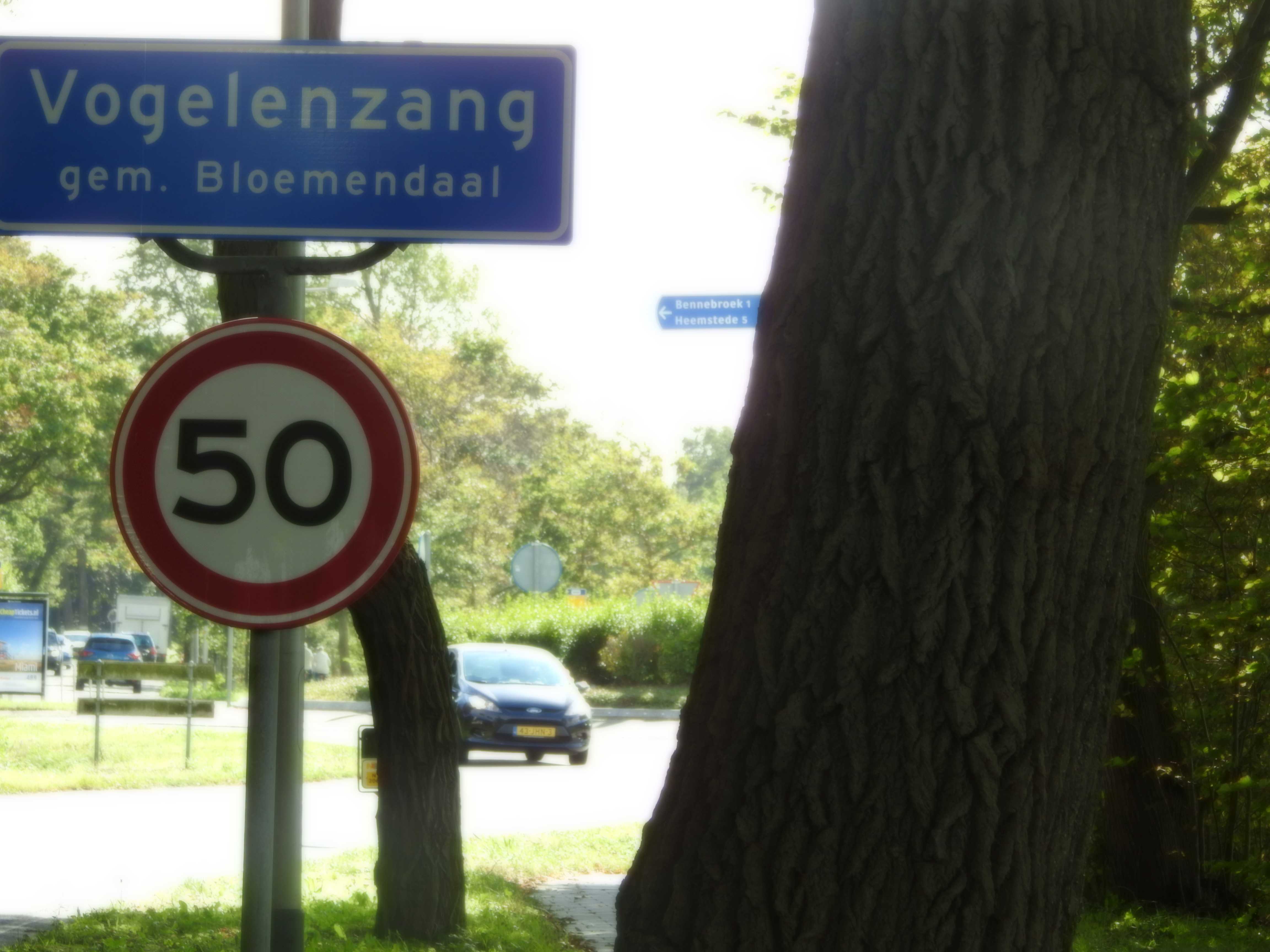 Vogelenzang